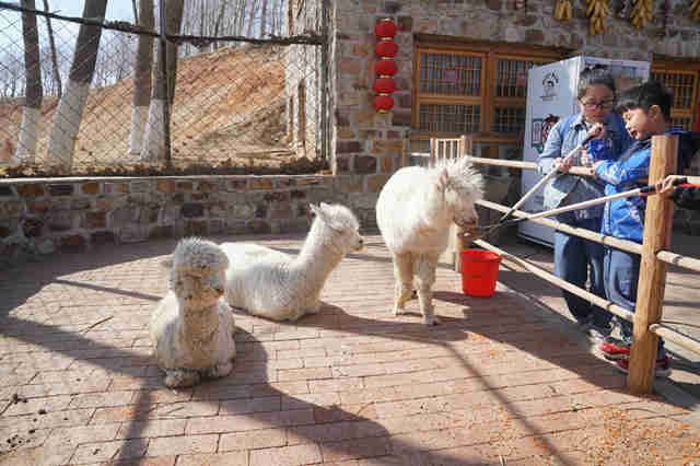 春暖花开，，，，，，万物可爱，，，，，，葫芦岛葫芦古镇带你感受春天的到来！