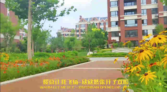 春意盎然 · 时光淑气～春风温暖 · 万物苏醒